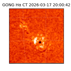 gong - 2026-03-17T20:00:42