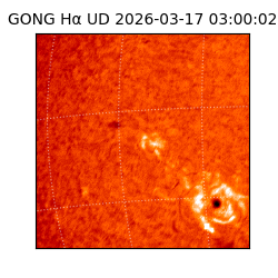 gong - 2026-03-17T03:00:02