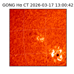 gong - 2026-03-17T13:00:42