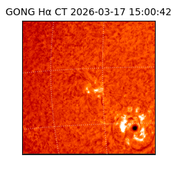 gong - 2026-03-17T15:00:42