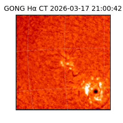 gong - 2026-03-17T21:00:42