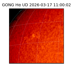 gong - 2026-03-17T11:00:02