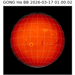 gong - 2026-03-17T01:00:02
