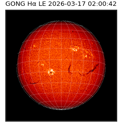 gong - 2026-03-17T02:00:42