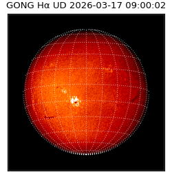 gong - 2026-03-17T09:00:02