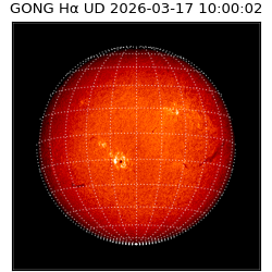gong - 2026-03-17T10:00:02