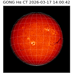 gong - 2026-03-17T14:00:42