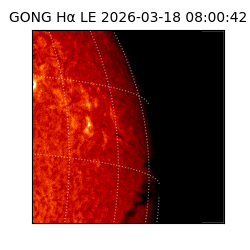 gong - 2026-03-18T08:00:42