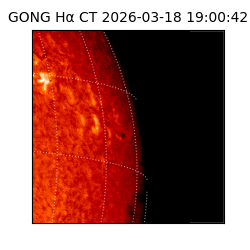 gong - 2026-03-18T19:00:42