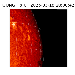gong - 2026-03-18T20:00:42