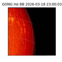 gong - 2026-03-18T23:00:03