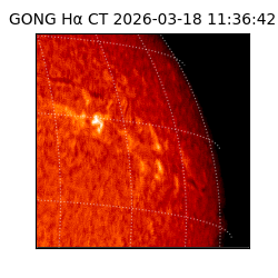 gong - 2026-03-18T11:36:42