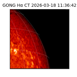 gong - 2026-03-18T11:36:42