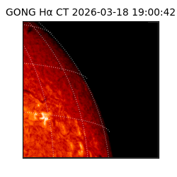 gong - 2026-03-18T19:00:42