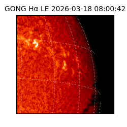 gong - 2026-03-18T08:00:42