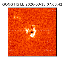 gong - 2026-03-18T07:00:42