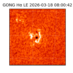 gong - 2026-03-18T08:00:42