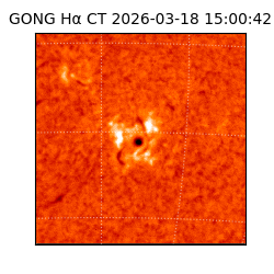 gong - 2026-03-18T15:00:42