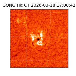 gong - 2026-03-18T17:00:42