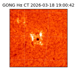 gong - 2026-03-18T19:00:42