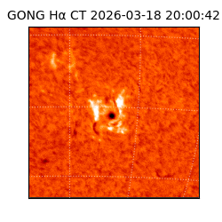gong - 2026-03-18T20:00:42