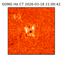 gong - 2026-03-18T21:00:42