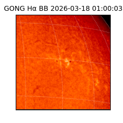 gong - 2026-03-18T01:00:03