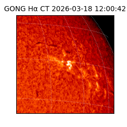 gong - 2026-03-18T12:00:42