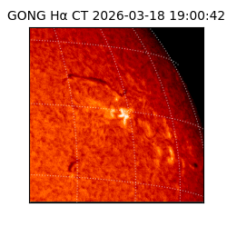 gong - 2026-03-18T19:00:42