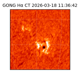 gong - 2026-03-18T11:36:42