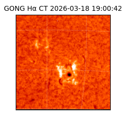 gong - 2026-03-18T19:00:42