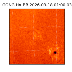 gong - 2026-03-18T01:00:03