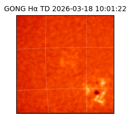 gong - 2026-03-18T10:01:22