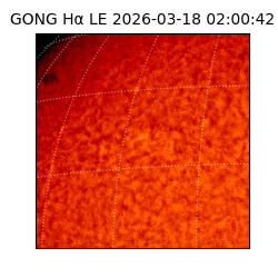 gong - 2026-03-18T02:00:42