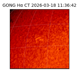 gong - 2026-03-18T11:36:42