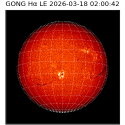 gong - 2026-03-18T02:00:42