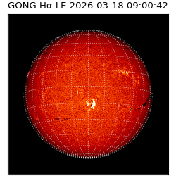 gong - 2026-03-18T09:00:42