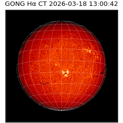 gong - 2026-03-18T13:00:42