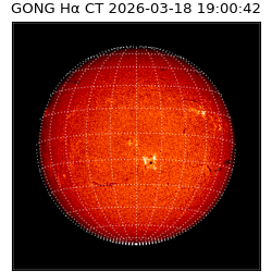 gong - 2026-03-18T19:00:42