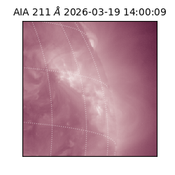 saia - 2026-03-19T14:00:09.624000