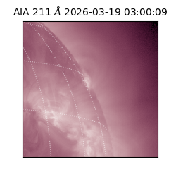 saia - 2026-03-19T03:00:09.632000