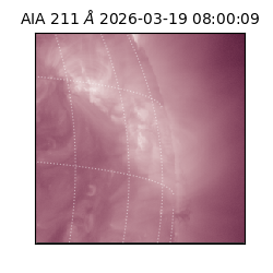 saia - 2026-03-19T08:00:09.632000