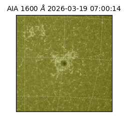 saia - 2026-03-19T07:00:14.130000