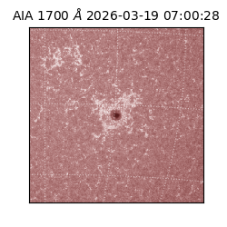 saia - 2026-03-19T07:00:28.446000