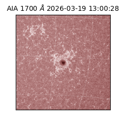 saia - 2026-03-19T13:00:28.446000