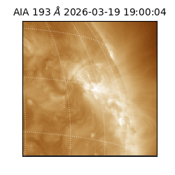 saia - 2026-03-19T19:00:04.842000