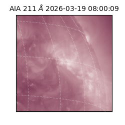 saia - 2026-03-19T08:00:09.632000