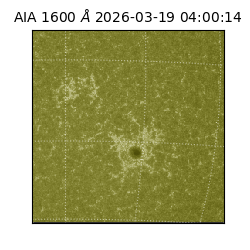 saia - 2026-03-19T04:00:14.129000