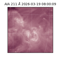saia - 2026-03-19T08:00:09.632000