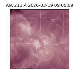 saia - 2026-03-19T09:00:09.630000